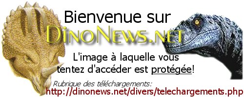 http://dinonews.net/dossiers/films/terre_dinos/images/fond_terre_dinos.jpg