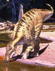 Un Anatotitan se d�salt�rait dans le courant d'une onde pure...