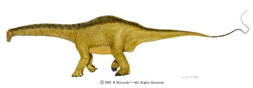 L'Apatosaurus, par S.Mineo