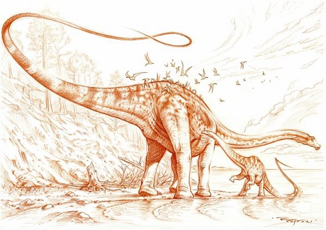 Diplodocus