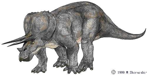 Reconstitution du Triceratops