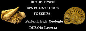Biodiversit� des �cosyst�mes fossiles