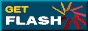 Installer le plug-in Flash 4