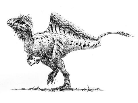 Concavenator corcovatus