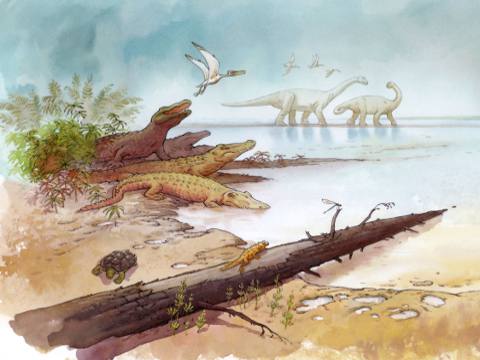 Charente, il y a 140 MA