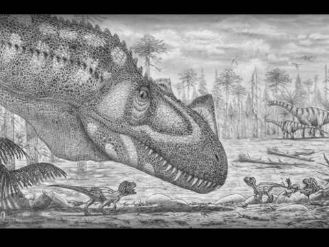 Famille de dinosaures Ceratosaurus