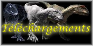 Rubrique des téléchargements