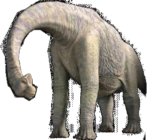 Un Brachiosaure