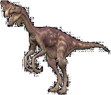 Un Oviraptor