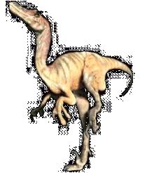 Un Vlociraptor