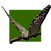 Ornithocheirus