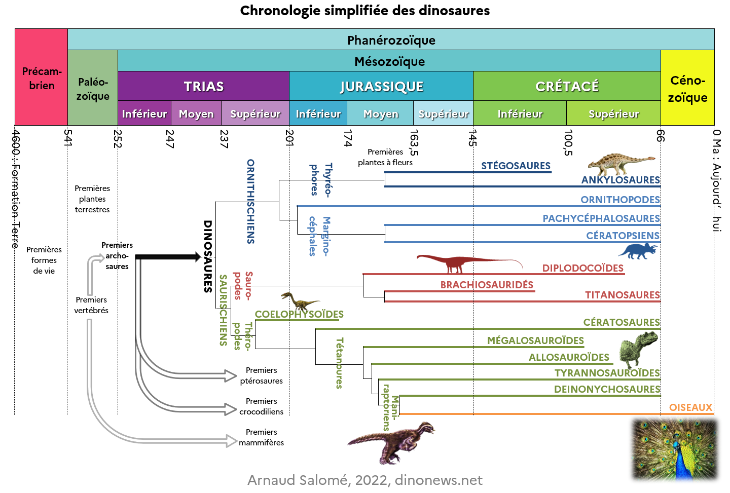Frise Chronologique Dinosaures Frise Chronologique Dinosaures