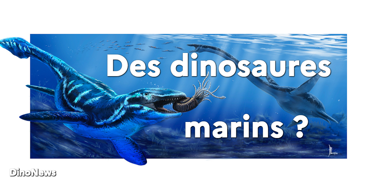 Liste Des Noms Des Dinosaures Marins Des « Monstres » Marins Au — free download