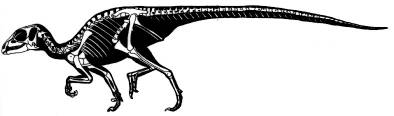 Abrictosaurus