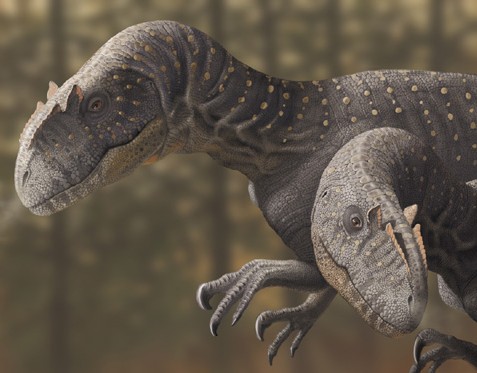 Allosaurus (uua.cn)