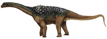 Ampelosaurus