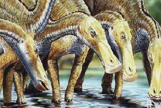 Anatotitan copei