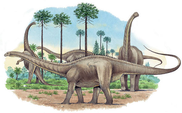 Apatosaurus