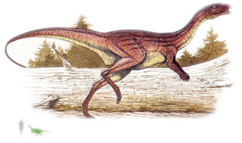 Atlascopcosaurus