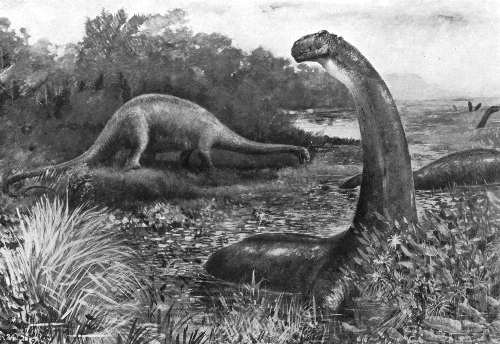 'Brontosaurus' par C.R. Knight