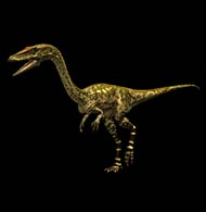 Le Coelophysis de la srie Sur La Terre Des Dinosaures