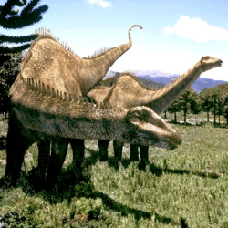 Diplodocus