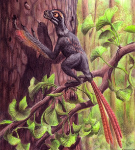 Epidexipteryx