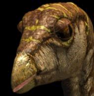 Leaellynasaura avait de grands yeux et un bec