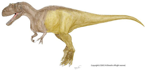 Reconstitution moderne du Mgalosaurus