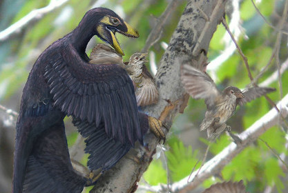 Microraptor chassant des oiseaux