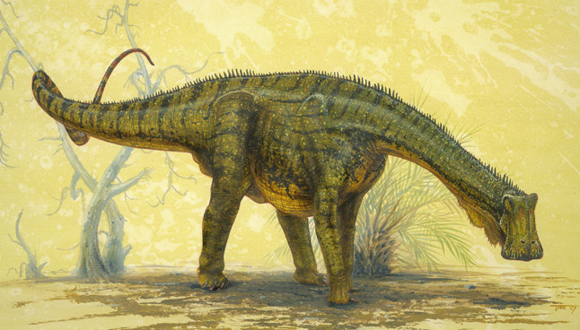 Le dinosaure Nigersaurus taqueti, par Todd Marshall