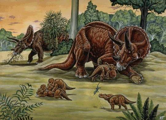 La vie familiale chez les Triceratops