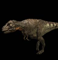 Le Tyrannosaurus de la srie Sur La Terre Des Dinosaures