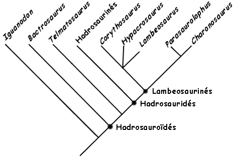 Cladogramme de Charonosaurus