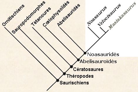 Cladogramme de Masiakasaurus