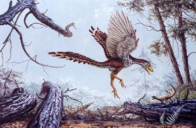 Une reconstitution du vol d'Archaeopteryx