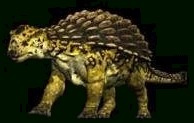 Ankylosaurus