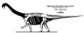 Opisthocoelicaudia skarzynskii, représentation des éléments squelettiques connus en blanc. Silhouette du cou et de la tête spéculative. © Jaime A. Headden