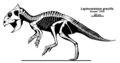 Leptoceratops gracilis © Jaime A. Headden