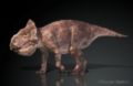 Udanoceratops tschizhovi représenté avec une queue courte. © Masato Hattori