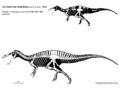 Reconstitution de Suchomimus tenerensis, par Scott Hartman.