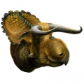 Nasutoceratops titusi, © Lukas Panzarin