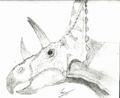 Chasmosaurus