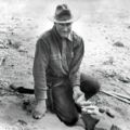 Roy Chapman Andrews a retrouvé différentes sortes de fossiles durant ses expéditions dans le désert de Gobi, et plus particulièrement les premiers nids de dinosaures fossilisés, ici, il est photograhpié avec des oeufs de dinosaures (Oviraptor, Protoceratops?) dans l'un des sites où il avait découvert des nids.