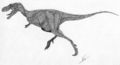 Gorgosaurus