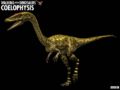 Reconstitution du Coelophysis