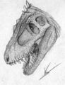 Daspletosaurus