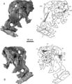 Portion postérieure du crâne et de la mandibule gauche de Turiasaurus riodevensis (CPT-1211) en vues postérieure (A) et antérieure (B). D’après Royo-Torres et Upchurch, 2012.