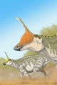 Tsintaosaurus spinorhinus