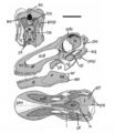 Rapetosaurus krausei. Crâne composite constitué de l’holotype (UA 8698) et des spécimens FMNH PR 2184-2192, 2194, 2196-2197 en vues postérieures, latérale gauche et dorsale. En gris les éléments connus. (Modifié d’après Curry Rogers & Forster 2001).